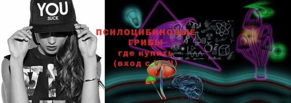 молекула духа Михайловка