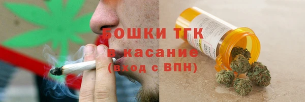 твердый Михайловск