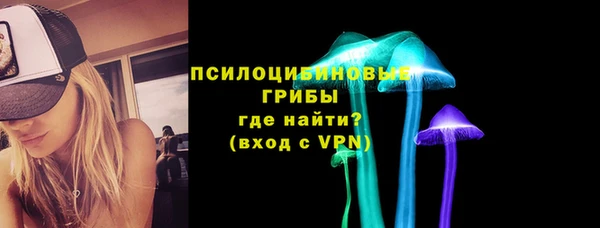 твердый Михайловск