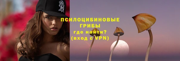 твердый Михайловск
